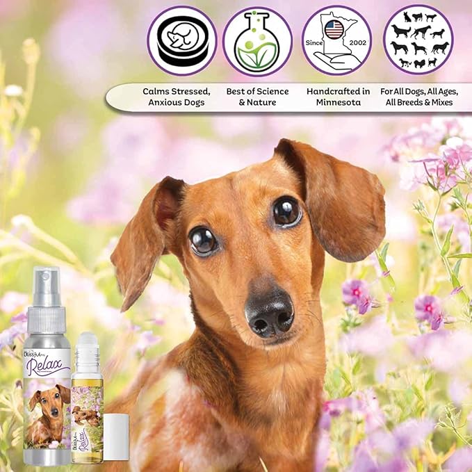 The Blissful Dog Dachshund Relax Dog Aromatherapy Spray for Your Dog's Anxiety