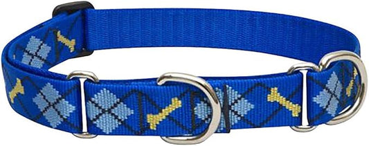 LupinePet Originals 1" Dapper Dog 15-22" Martingale Collar for Medium and Larger Dogs