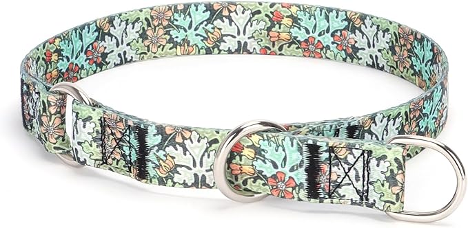 Training Dog Collar, No Pull Martingale Collar, Slip Collar with Slidable Stop Ring for Small, Medium, Large Dogs (M, Green)