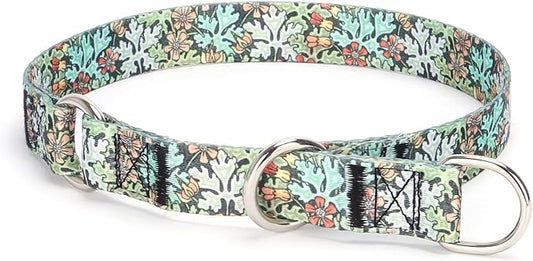 Training Dog Collar, No Pull Martingale Collar, Slip Collar with Slidable Stop Ring for Small, Medium, Large Dogs (M, Green)