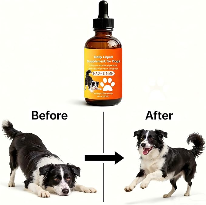 Dog Longevity Supplement with NMN, NAD+, CoQ10 & Resveratrol – Supports Joint Health, Vitality & Healthy Aging – 60-Day Nanoliposomal Drops for Better Absorption