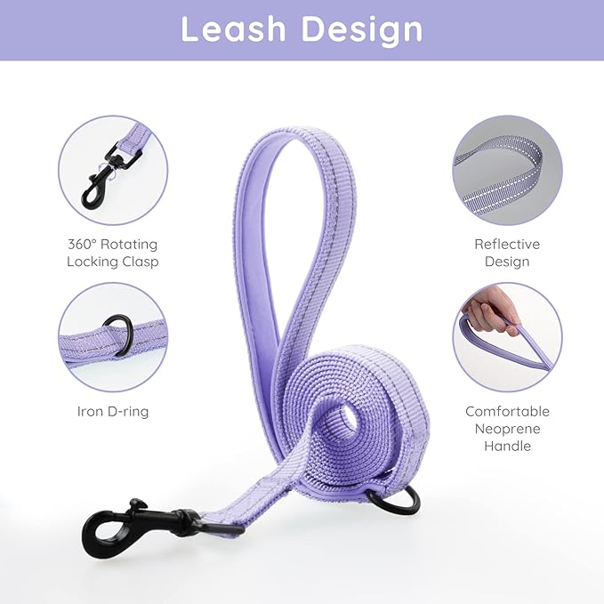 BELLA & PAL Step in Vest Harness for Small and Medium Dogs, No Pull Small Dog Harness with Leash Set, Comfortable Air Mesh Puppy Vest Harness with Reflective Strip (Lavender, XS)