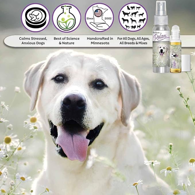 The Blissful Dog Labrador Retriever Relax Roll-ON Aromatherapy for Dogs
