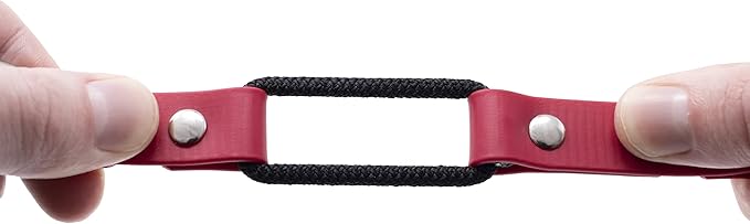 Educator 1-Inch Dog Training Collar Strap – ONLY Fits FE-580, ET-800 & UL-1200 Receivers – NOT Compatible with Mini Educator (ET-300/ET-400) – Quick Snap Biothane Bungee Collar, Red