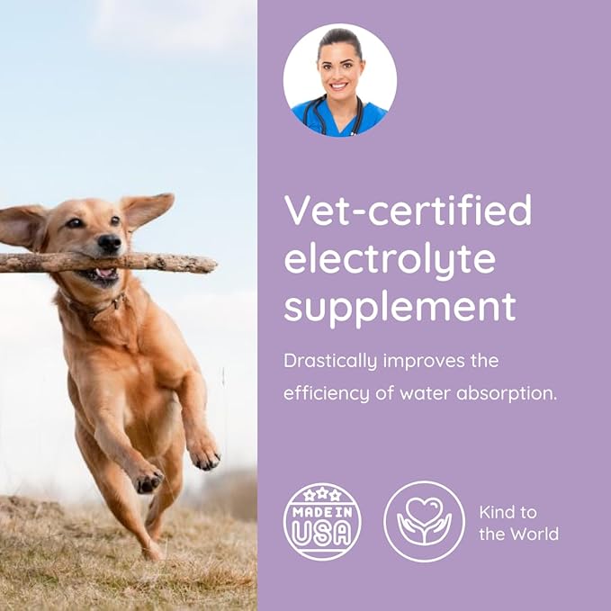Dog Electrolytes and Joint Supplement | Hydration Support for Dogs w/Glucosamine, Chondroitin & More | Electrolytes for Dogs with Prebiotics | Salmon Lovers | 32 Packets