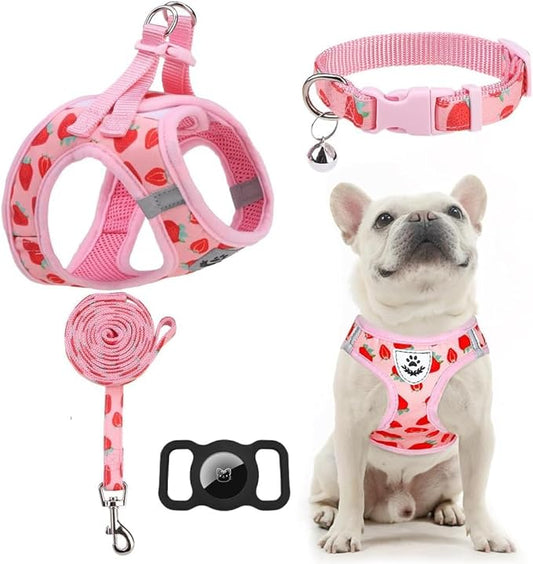 EXPAWLORER Small Dog Harness and Leash Set - Cute Puppy Harness Leash Dog Collar with AirTag Holder Silicone Case, Soft Padded Step in Pet Vest Reflective for Outdoor Walking, Strawberry XS