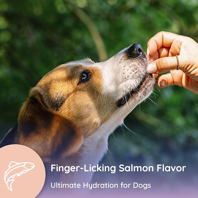 Dog Electrolytes and Joint Supplement | Hydration Support for Dogs w/Glucosamine, Chondroitin & More | Electrolytes for Dogs with Prebiotics | Salmon Lovers | 32 Packets