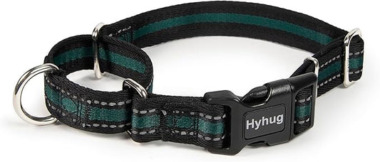 Hyhug Reflective Martingale Dog Collar with Buckle: Escape-Proof, No Slip Heavy Duty Nylon, Colorfast Adjustable Pet Supplies for Small Breeds (Reflective Green, Extra Small)