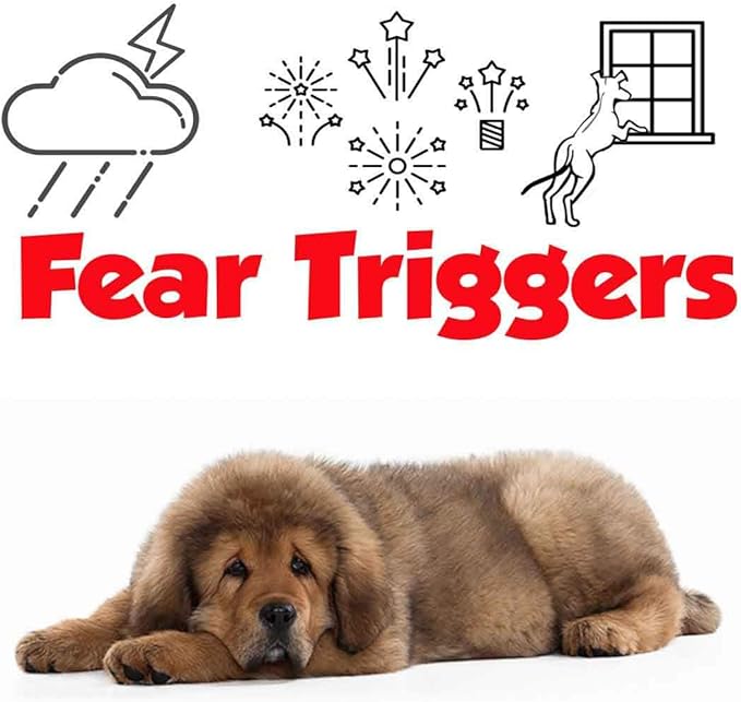 The Blissful Dog Tibetan Mastiff Relax Dog Aromatherapy Spray for Your Dog's Anxiety