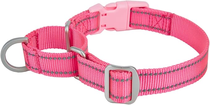 Reflective Martingale Collar for Dogs with Quick Snap Buckle Anti-Pull Nylon Safe Slip Collars for Easy Walking,Hot Pink,XSmall