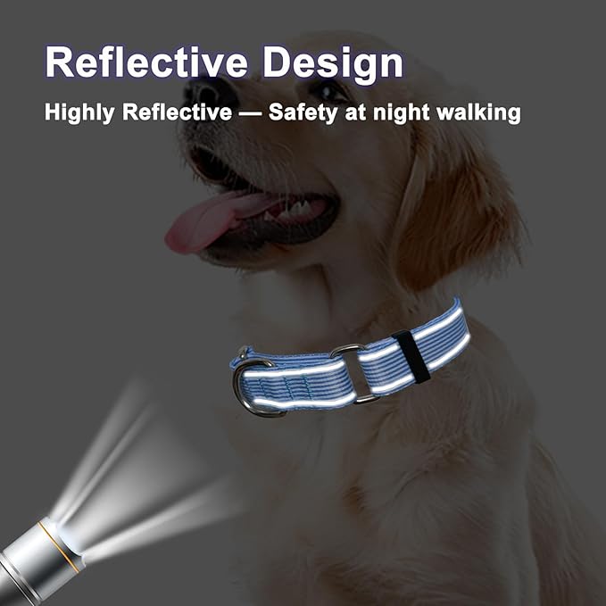 Reflective Martingale Collar for Dogs Nylon Training Collar with No Buckle, No Pull Escape Proof Dog Collar for Large Dogs（Blue Stripe，L）