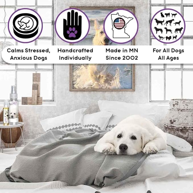 The Blissful Dog Kuvasz Relax Dog Aromatherapy, 0.45-Ounce Roll-On