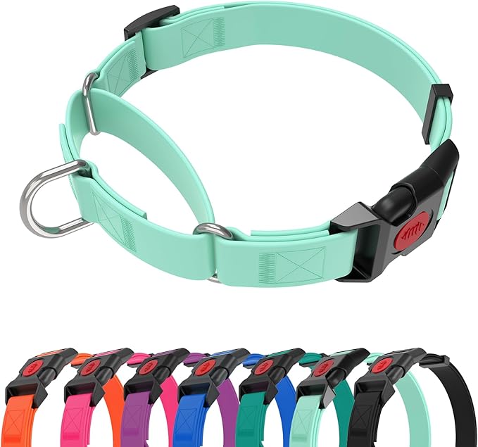Waterproof Martingale Collar for Dogs,Easy to Clean Dog Collars with Safety Quick Release Buckle,Rubber Collar for Medium Large Dogs Walking Training (Mint Green, S (13.4-16.5inch))