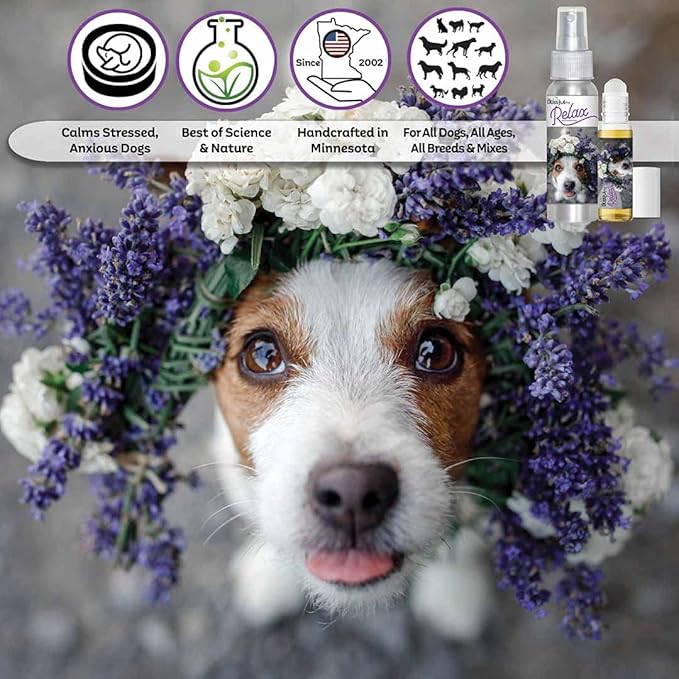 The Blissful Dog Jack Russell Relax Roll-ON Aromatherapy for Dogs - Anxiety Relief for Dogs