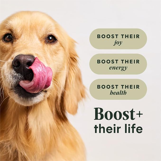 Instinct RawBoost, Natural Dry Dog Food with FreshDried Raw, High Protein, Grain-Free Recipe - Real Beef, 10 lb. Bag