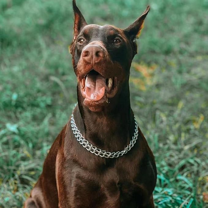 Silver Dog Chain Collar for Small Dogs, Heavy Duty Training Double Row Chains Choker Collar Metal Slip Choke Collar Martingale Collars for Small Medium Large Dog, D2.0mm