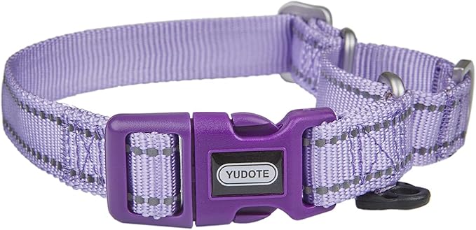 Reflective Martingale Collar for Dogs with Quick Snap Buckle Anti-Pull Nylon Safe Slip Collars for Easy Walking,Lilac,Small