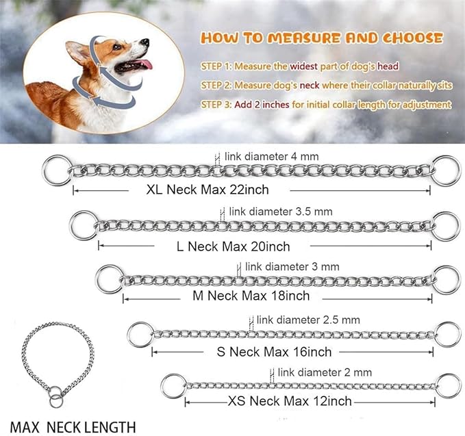 Silver Collars for Dog,Metal Slip Link Dog Chain Martingale Collar Heavy Duty Training Dog Collar Boy Girl Puppy Collars for XS Small Medium Large Big Breed Pet,XL