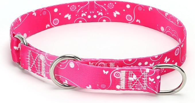No Pull Martingale Collar with Slidable Stop Ring for Small, Medium, Large Dogs (NO1, L)