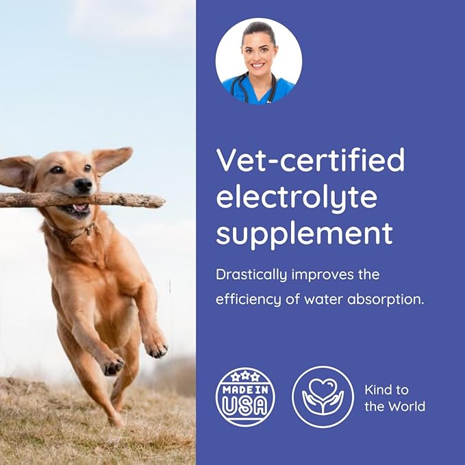 Petralyte Dog Electrolytes and Joint Supplement | Hydration Support for Dogs w/Glucosamine, Chondroitin & More | Electrolytes for Dogs with Prebiotics | for Beef Lovers | 16 Packets