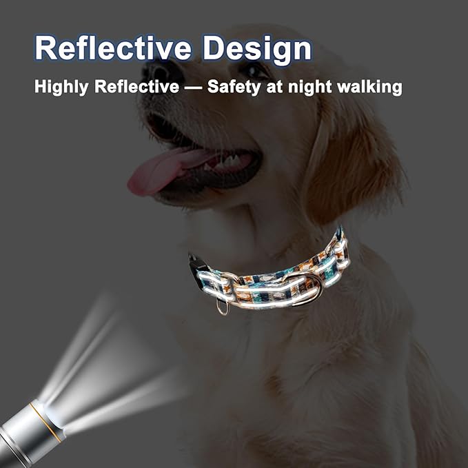 Reflective Martingale Collar with Buckle Shark Starfish Ethnic Stripe Adjustable Designer Dog Collars (Underwater World, Large)