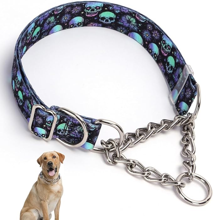 Stainless Steel Chain Martingale Collar for Dogs, No Pull Slip Cinch Choker Choke Collar Training Escape Proof Heavy Duty Dog Collar for Small Medium Large Pet Boy Male Dogs, Skull XL