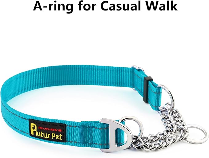Plutus Pet Martingale Dog Collar with Stainless Steel Chain and Reflective Nylon, Adjustable No Pull Training Collar, for Small Medium, and Large Dogs, Cyan, M