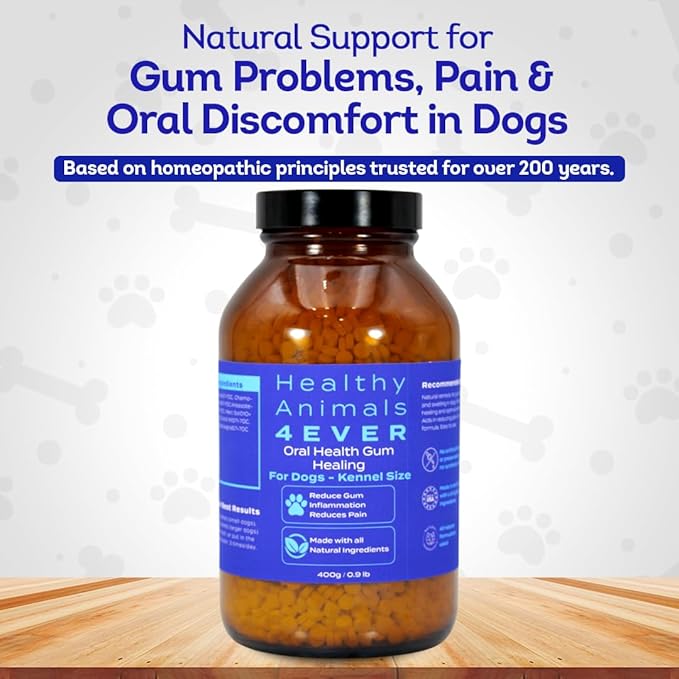 HA4E - Dog Oral Health Supplement - Relieves Inflammation, Soothes Pain & Fights Gum Disease - Natural, Non-GMO, Organic, Gluten-Free & Chemical-Free - Tablets, Kennel Size (Extra Large)