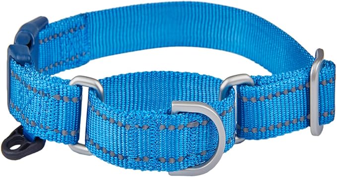 Reflective Martingale Collar for Dogs with Quick Snap Buckle Anti-Pull Nylon Safe Slip Collars for Easy Walking,Blue,Medium
