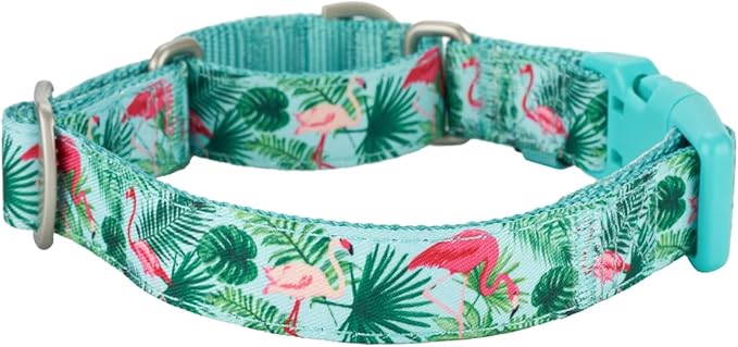 Martingale Dog Collar,Flamingo Pattern,with Safety Quick Release Buckle,Escape-Proof Anti-Pull for Medium Dogs(Flamingo,M)