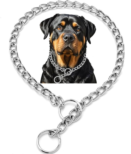 Slip P Puppy Chain Collar for Dogs, Metal Training Link Durable Martingale Collars for XXS XS Small Medium Large Breed Dogs, Silver Size L