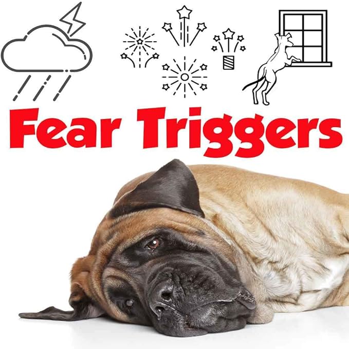 The Blissful Dog Mastiff Relax Dog Aromatherapy Spray for Your Dog's Anxiety