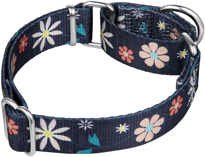 Martingale Collar Floral Print Dog Collar - No Pull Pet Collar, Heavy Duty Adjustable Dog Collar, Medium, Neck 14 Inch -21 Inch, Elegant Flowers (Dark Blue)