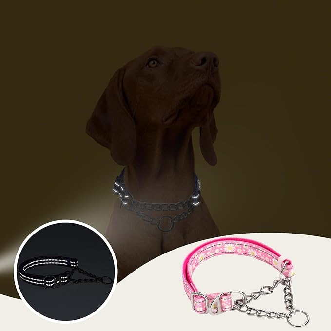 Martingale Dog Collar with Chain,Pink Daisy No-Pull Dog Collar Adjustable Comfortable Reflective Choke Dog Collar for Training & Walks（Pink Daisy XL
