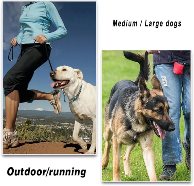 LWBMG Black Leather Dog Leash 8ft, Heavy Duty, Strong and Sturdy Braided, Soft and Comfortable for Medium Large Dogs Training and Walking