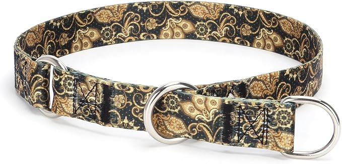 Training Dog Collar, No Pull Martingale Collar, Slip Collar with Slidable Stop Ring for Small, Medium, Large Dogs (L, Gold)