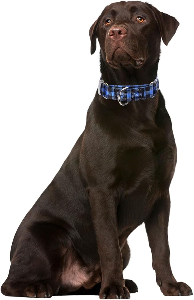 Blue Plaid Print Martingale Collars for Dogs, No-Slip Escape Proof Choke No Pull Soft Nylon Training Dog Collars for Small Medium Large Breed Pet Dogs, M