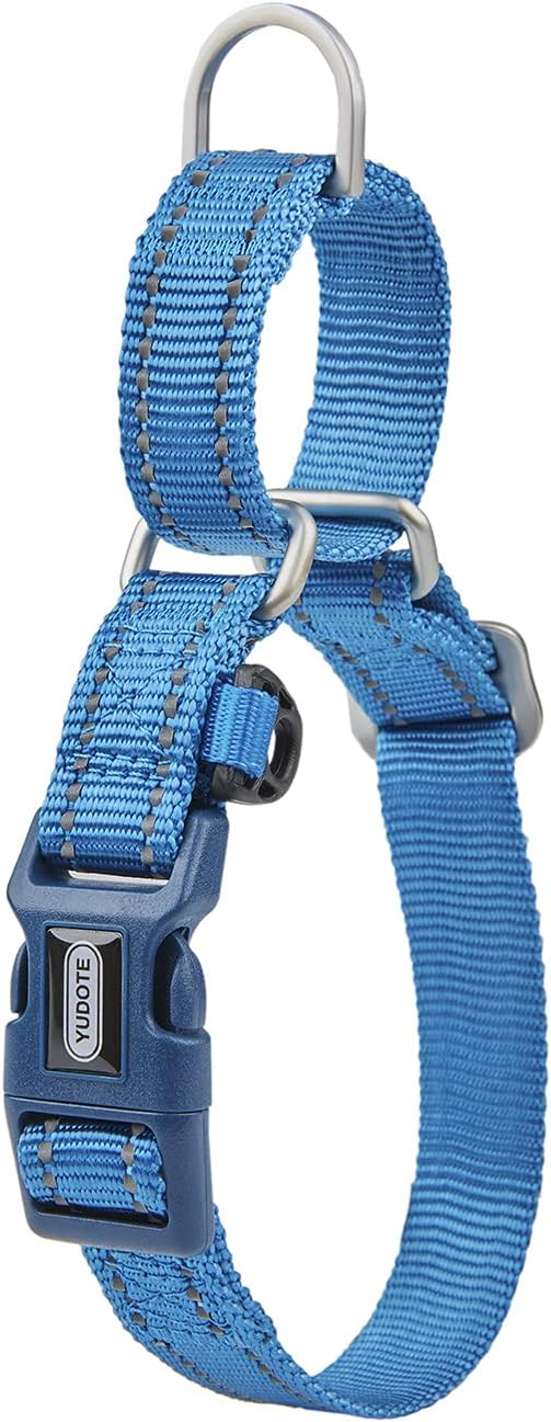 Martingale Collar Reflective Nylon Collar with Safety Quick Release Buckle,Escape-proof Anti-pull for Small Medium and Heavy Duty Dogs(Blue,S)