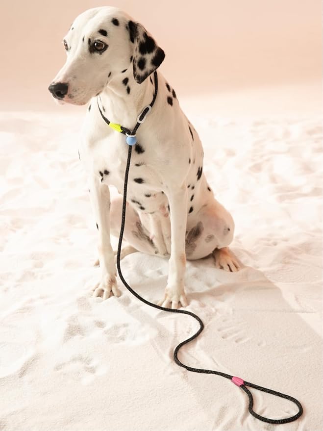 Slip Lead Dog Leash, Adjustable Slip Lead with Aviation Aluminum Anti-Choking Stopper, Lightweight Pet Training Lead