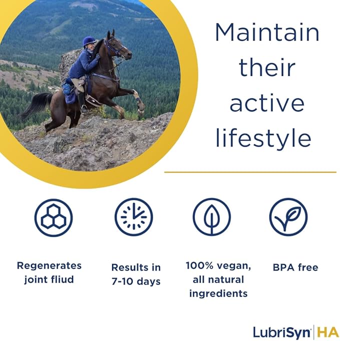LubriSynHA Hyaluronic Acid with MSM Hip & Joint Care Supplement for Dogs, Cats & Horses – Liquid Oral HA for Pets – Joint Support Promotes Mobility, Flexibility, Cartilage Health & Comfort – 8oz