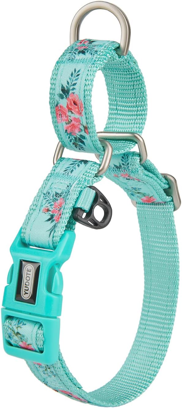 Martingale Dog Collar,Floral Pattern,with Safety Quick Release Buckle,Escape-Proof Anti-Pull for Large Dogs(Green Floral,L)