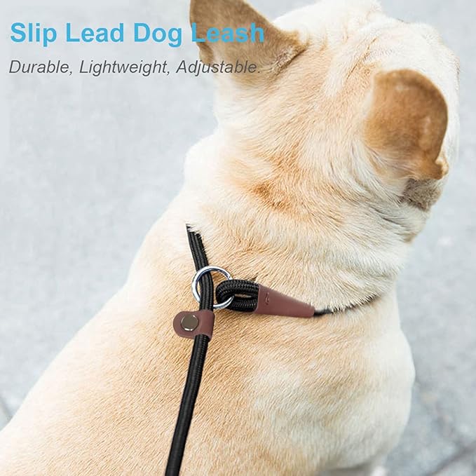 MayPaw Slip Lead Control Leash for Dogs No Pull, 13+ Colors Classic Dog Lead 7FT Pet Slip Leash, 1/4” Rope Leashes for Small Medium Animals Purple