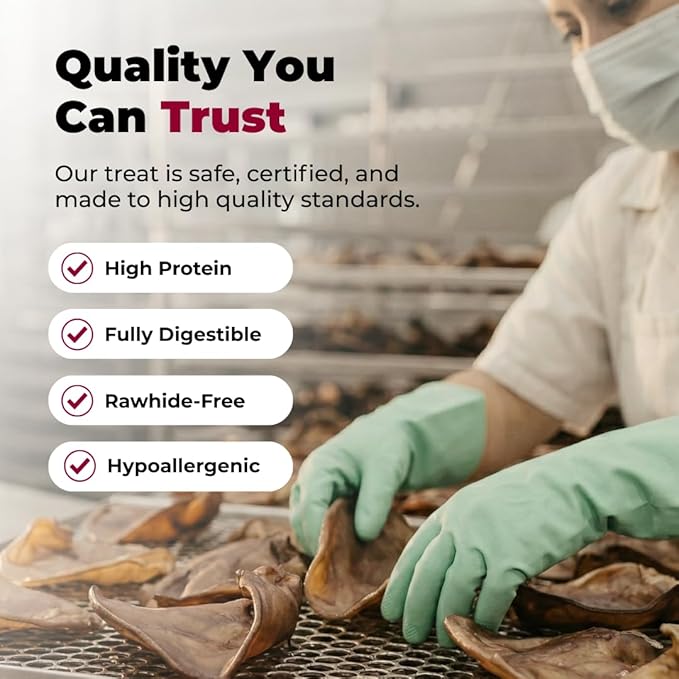 Best Pet Supplies GigaBite Whole Pig Ears for Dogs - All-Natural Slow-Roasted Chews That Clean Teeth and Satisfy Aggressive Chewers - 80 Pack for Large Dogs
