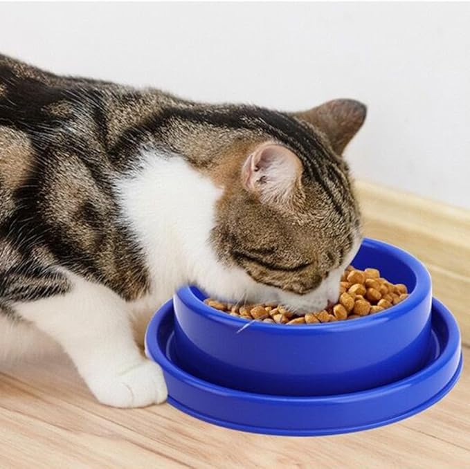 Ants Away Dog Bowl Cat Puppy Food Bowls Round No Spill Eating Feeder for Small Animals Yellow M