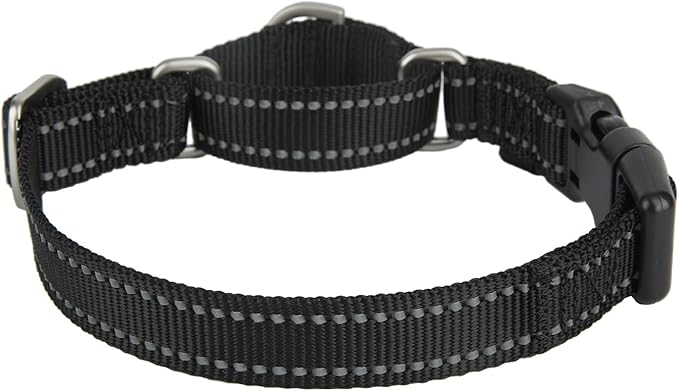 Martingale Collar Reflective Nylon Collar with Safety Quick Release Buckle,Escape-Proof Anti-Pull for Small Medium and Heavy Duty Dogs(Black,M)