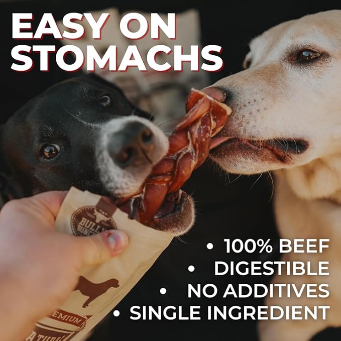 Bully Bunches All Natural 6" Standard Braided Bully Sticks - Odour Free, Rawhide Free, Chemical Free - Safe, Long Lasting Thick Beef Dog Chews - Fully Digestible Treat for Small and Medium Dogs, 5 Pk