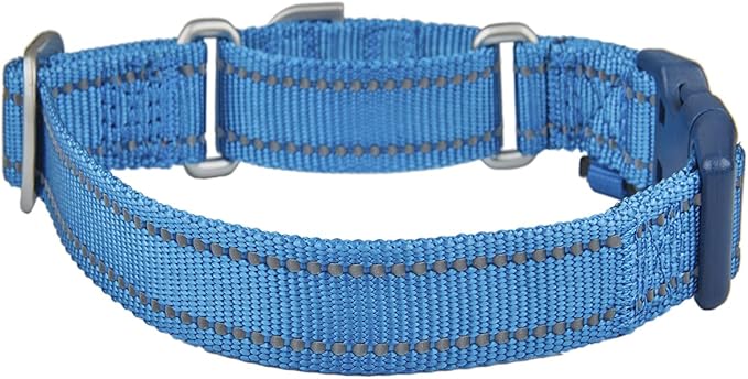 Martingale Collar Reflective Nylon Collar with Safety Quick Release Buckle,Escape-Proof Anti-Pull for Small Medium and Heavy Duty Dogs(Blue,M)