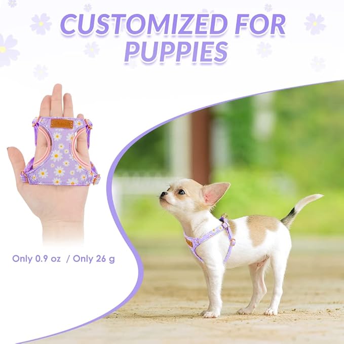 SlowTon Dog Harness Small Sized Dog - Soft XXS Dog Harness and Leash Set No Pull No Chock, Adjustable Lightweight Puppy Harness for XS Small Medium Dogs Cats (Purple Dasiy, M)