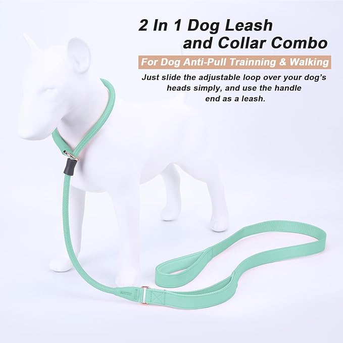 Slip Lead Dog Leash, Double Handle, Soft Leather, Heavy Duty Nylon, No Pull Walking, 5ft Mint Green