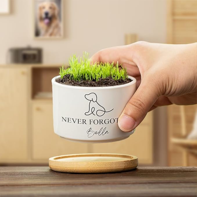 callie Personalized Pet Loss Sympathy Gifts, Dog Cat Memorial Ceramic Plant Pot Planter with Name Text, Passing Away Gifts for Pet Lovers